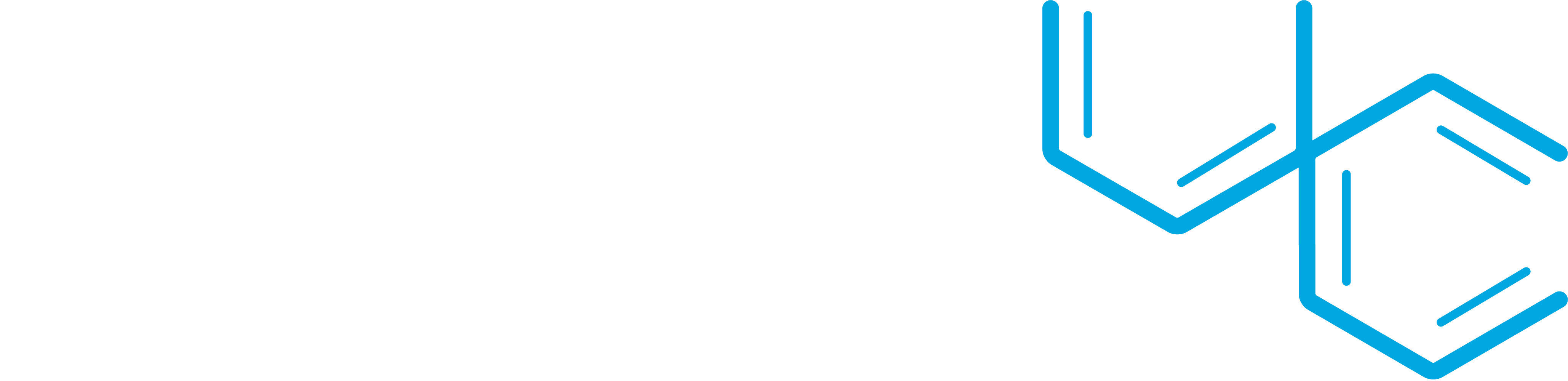 logo main